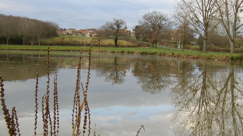 Etang communal